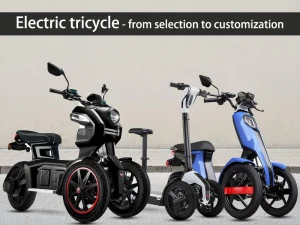 19 Triciclo elétrico - da seleção à personalização